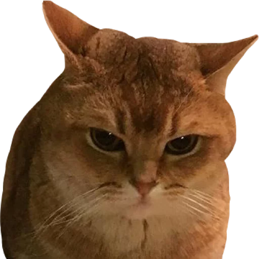 😾 Стикер «АНТИХАЙП» для Telegram