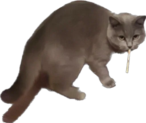 🚬 Стикер «ИБустчане» для Telegram