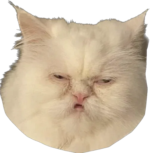 🥴 Стикер «ИБустчане» для Telegram