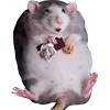 Стикер 50 Cute animals #animals #cute #girl