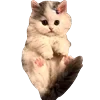 Стикер 13 Cute animals #animals #cute #girl