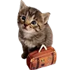 Стикер 18 Cute animals #animals #cute #girl