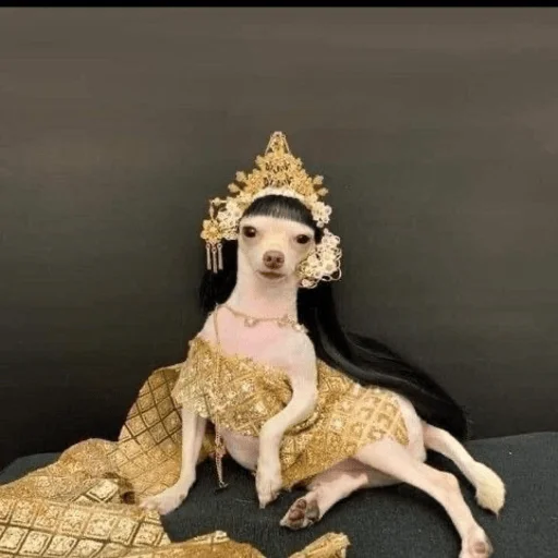 👑 Стикер «Dogs memes» для Telegram