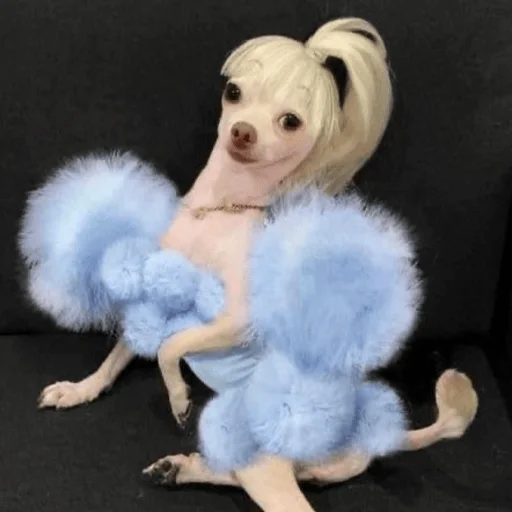 🩵 Стикер «Dogs memes» для Telegram