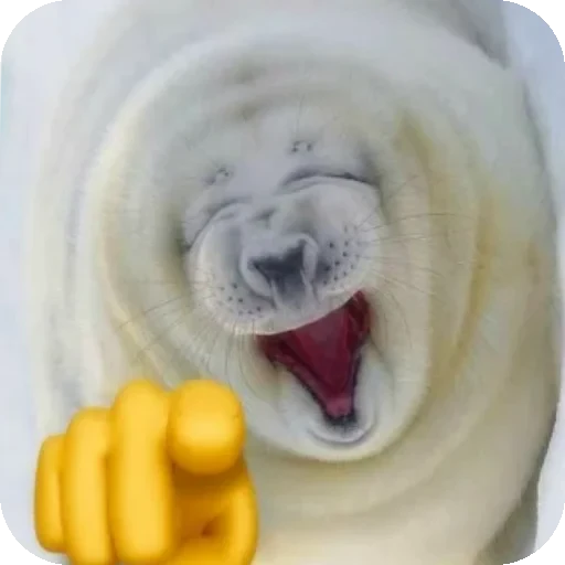 🤣 Стикер «Seals» для Telegram