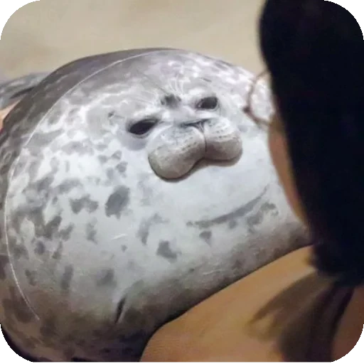 🤟 Стикер «Seals» для Telegram