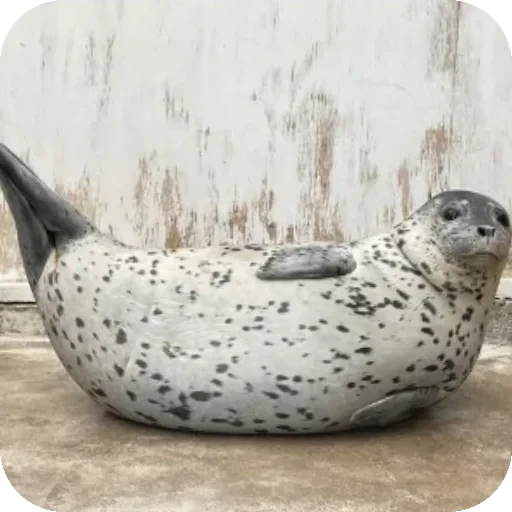 🍌 Стикер «Seals» для Telegram