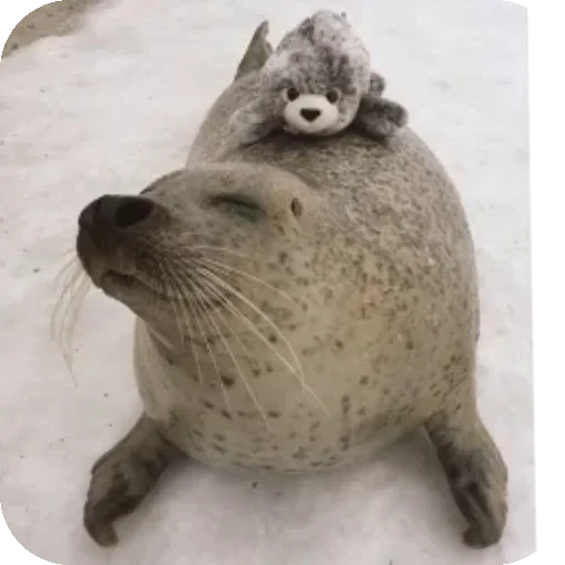 😊 Стикер «Seals» для Telegram