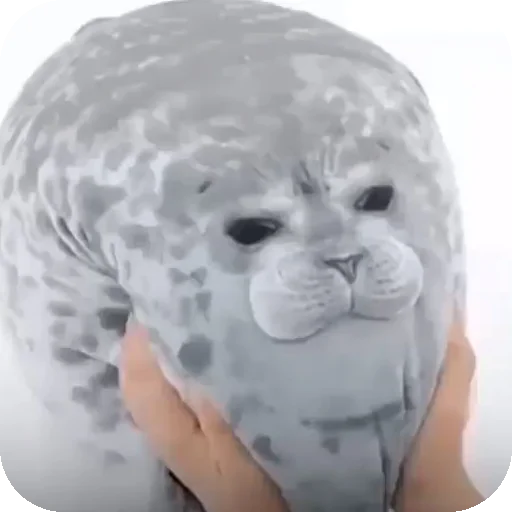🐡 Стикер «Seals» для Telegram