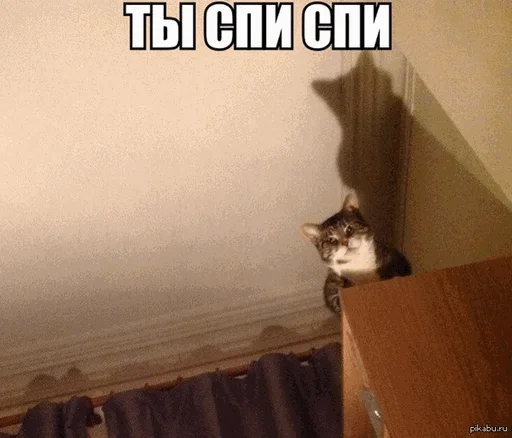 😼 Стикер «Спокойной ночи» для Telegram