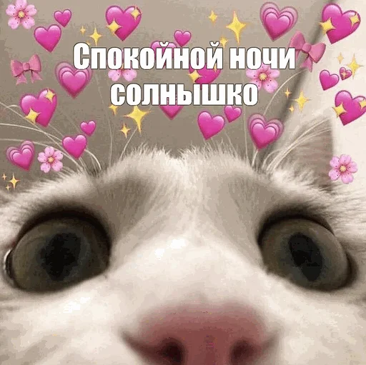 ❤️ Стикер «Спокойной ночи» для Telegram