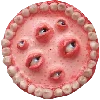 Стикер 46 ²⁰⁰ ᵖᶜˢ