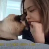 Стикер 50 Id0Ls