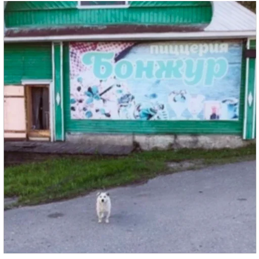 👋 Стикер «I found some memes» для Telegram