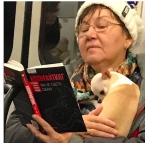 🐕 Стикер «I found some memes» для Telegram