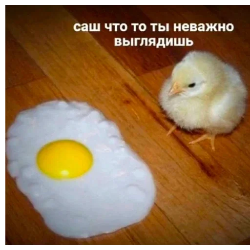 🤧 Стикер «I found some memes» для Telegram