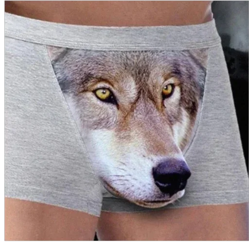 🐺 Стикер «I found some memes» для Telegram