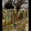 Стикер 11 Волк Ихвильнихт