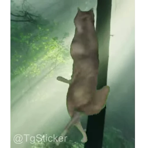 🐺 Стикер «волк ихвильнихт» для Telegram