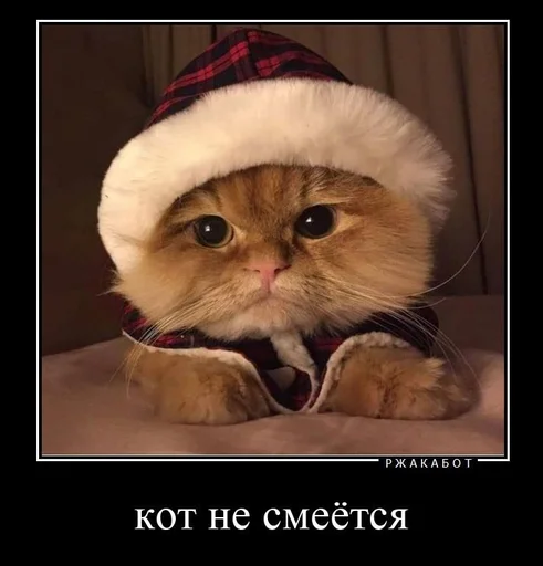 😿 Стикер «мс пох» для Telegram