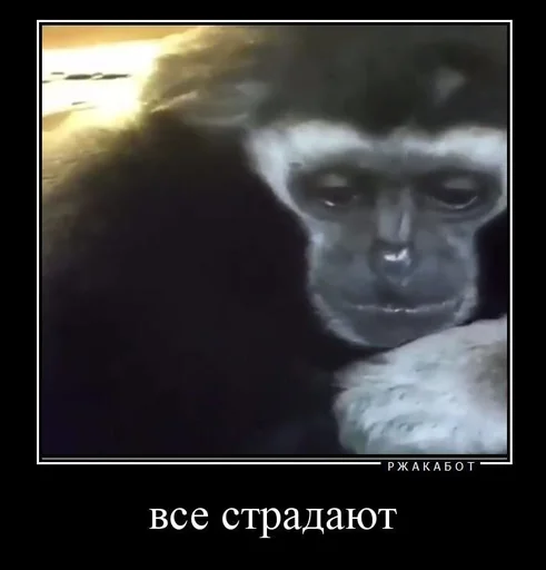 ☹ Стикер «мс пох» для Telegram