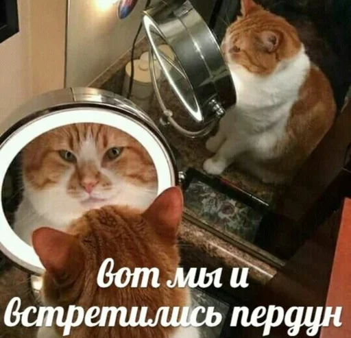 🔮 Стикер «мс пох» для Telegram