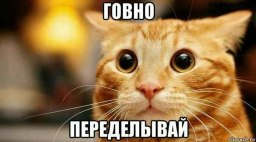 👎 Стикер «мс пох 2» для Telegram