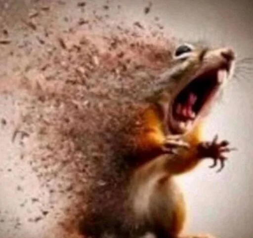 🐿 Стикер «мс пох 2» для Telegram