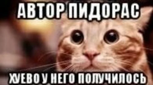 👹 Стикер «мс пох 2» для Telegram