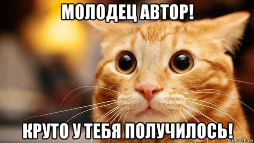 👍 Стикер «мс пох 2» для Telegram