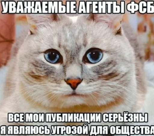🤫 Стикер «мс пох 2» для Telegram