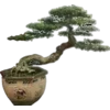 Стикер 48 🍵 Набор эмоджи с японским вайбом