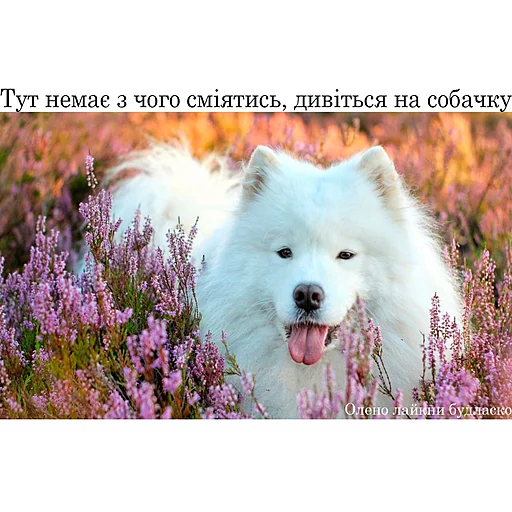 ❤️ Стикер «ік» для Telegram