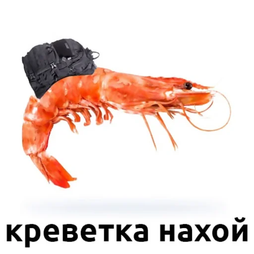 🦐 Стикер «ік» для Telegram
