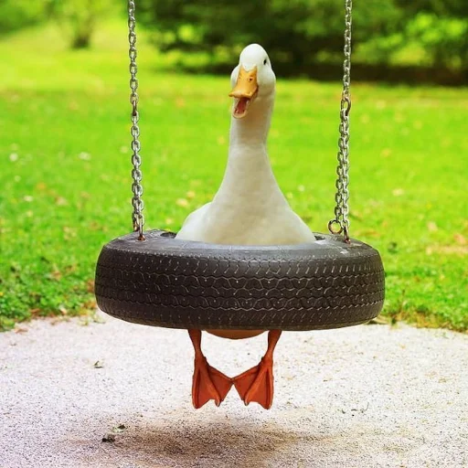 😂 Стикер «Animali» для Telegram