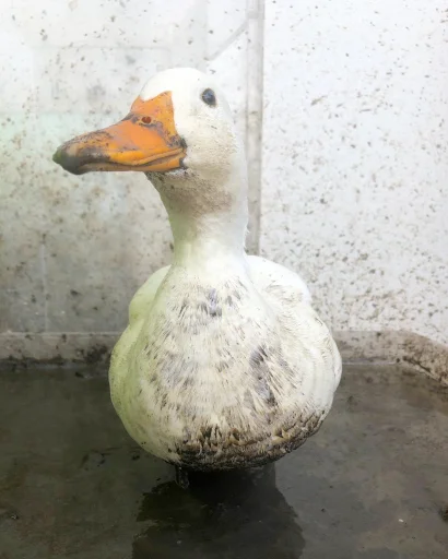 💩 Стикер «Animali» для Telegram