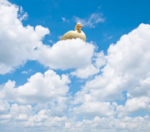 ☁️ Стикер «Animali» для Telegram
