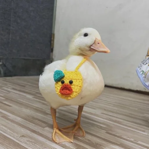 👜 Стикер «Animali» для Telegram