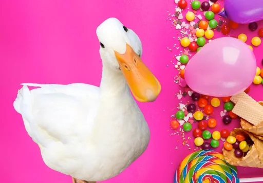 🍬 Стикер «Animali» для Telegram