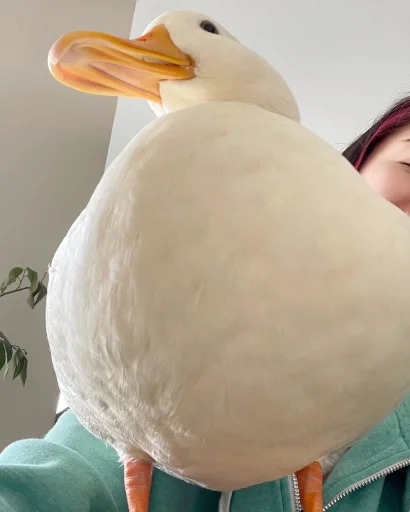 😵 Стикер «Animali» для Telegram