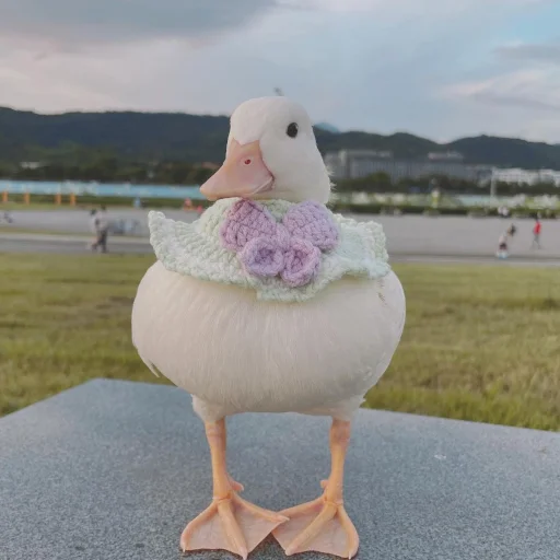 🧣 Стикер «Animali» для Telegram