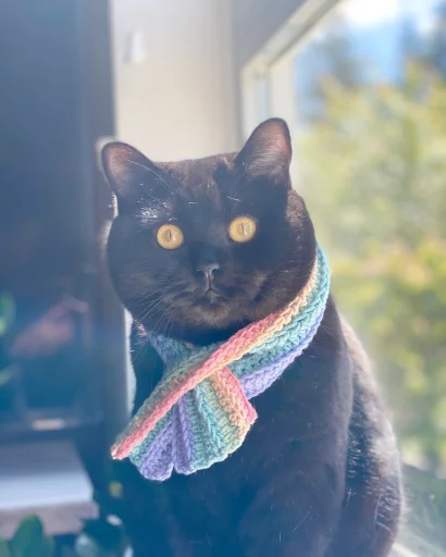 🏳️‍🌈 Стикер «Animali» для Telegram