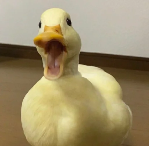 🤬 Стикер «Animali» для Telegram