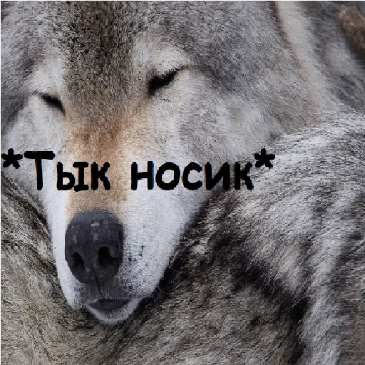 ☺️ Стикер «Тык-милота» для Telegram