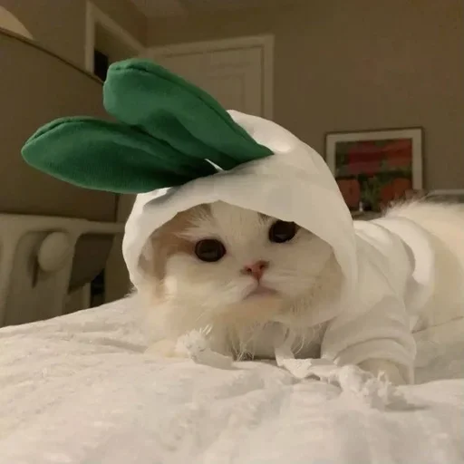 🥺 Стикер «white 3» для Telegram
