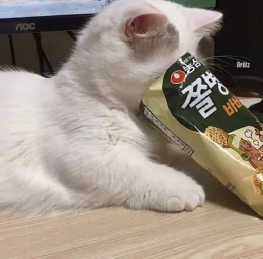🥺 Стикер «white 3» для Telegram