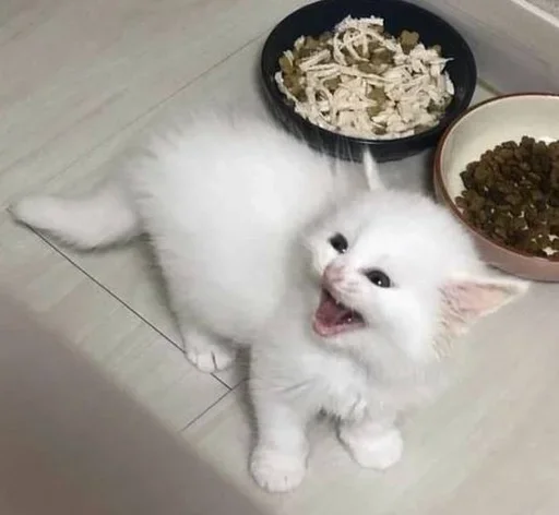 🥺 Стикер «white 3» для Telegram