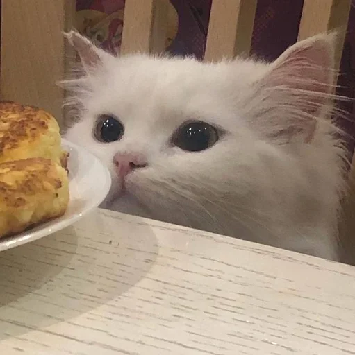 🥺 Стикер «white 3» для Telegram