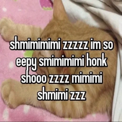 😴 Стикер «ilkinboss» для Telegram