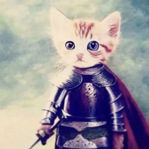 😼 Стикер «ilkinboss» для Telegram